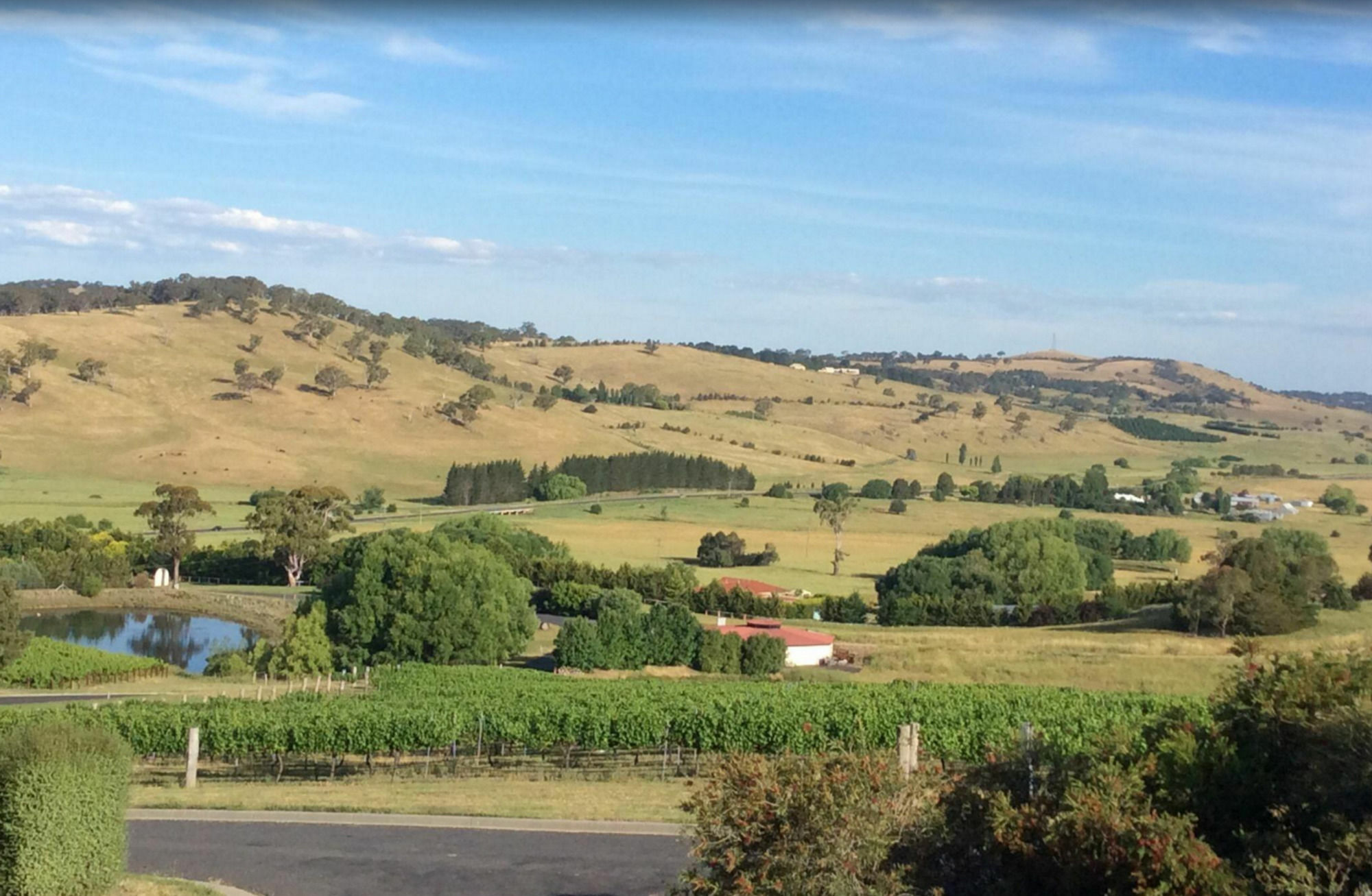 Turners Vineyard Motel Orange Eksteriør bilde
