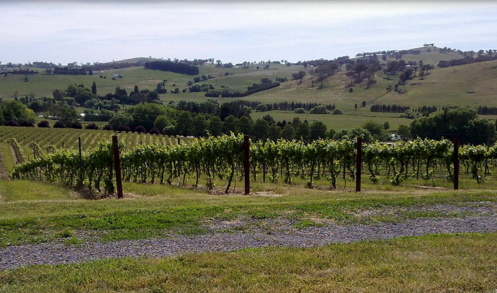 Turners Vineyard Motel Orange Eksteriør bilde